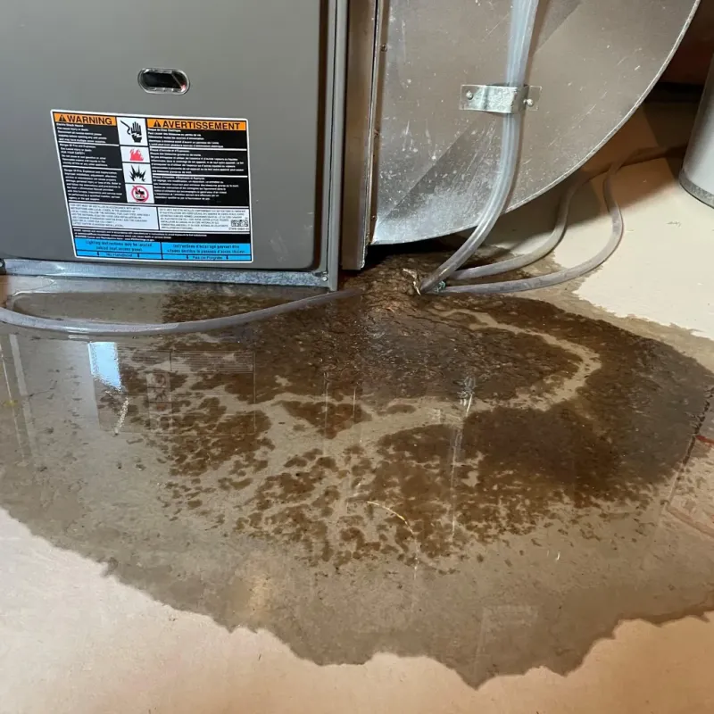 Appliance Leak Cleanup in Conejos, CO