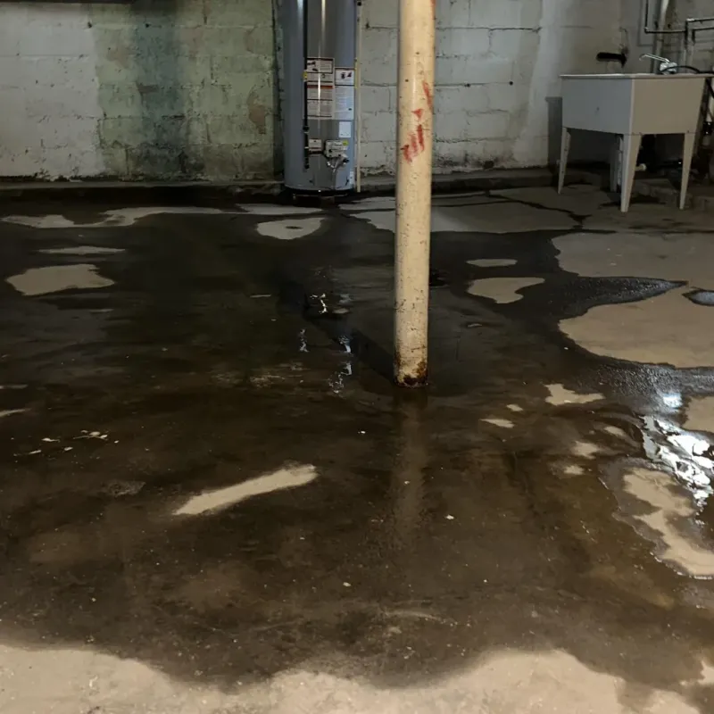 Emergency Water Extraction And Removal in Conejos, CO